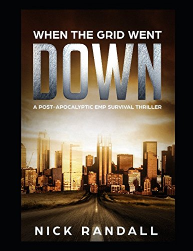 When The Grid Went Down: A Post-Apocalyptic EMP Survival Thriller (The Surviving The EMP Trilogy, Band 1) Action & Adventure