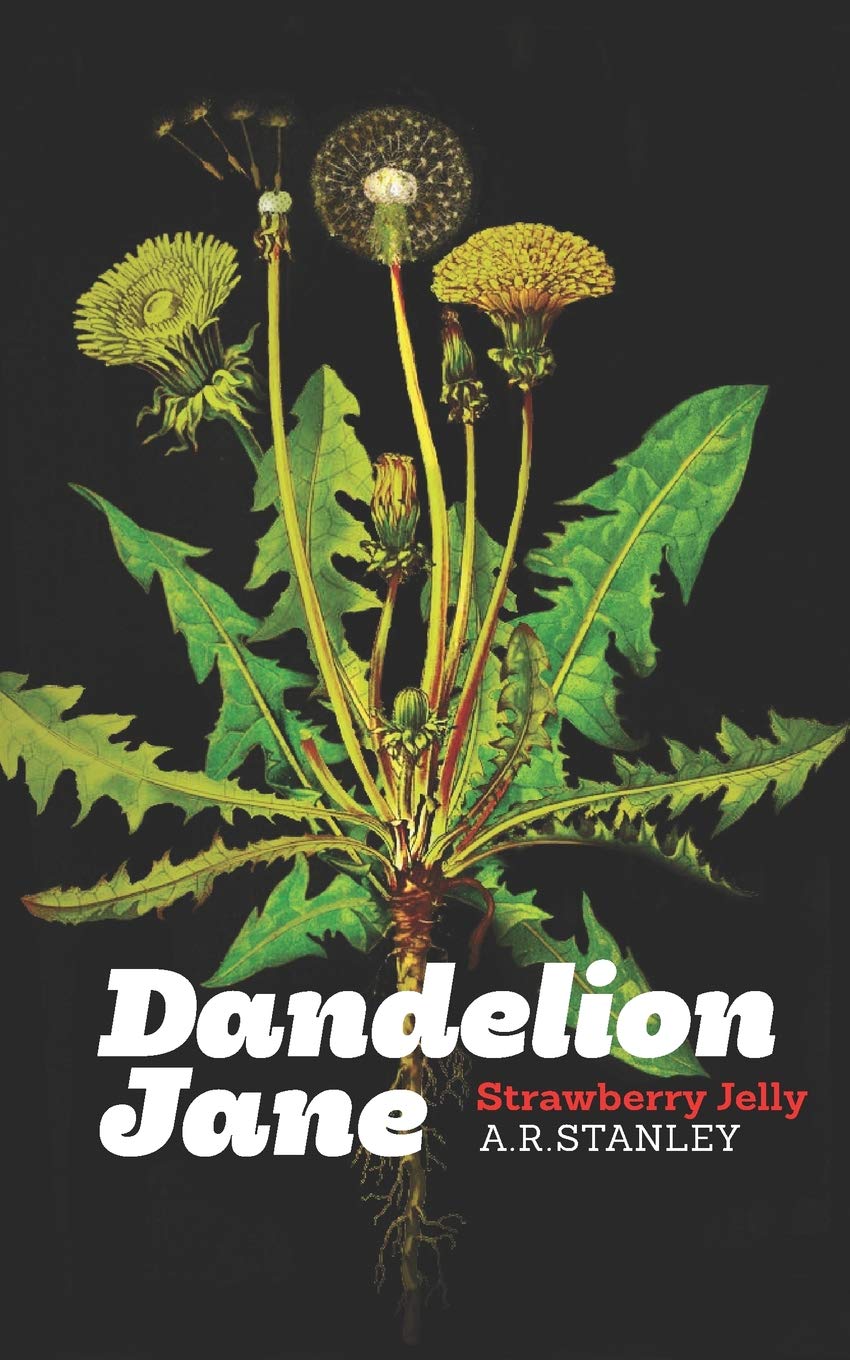 Product Image: Dandelion Jane:: Strawberry Jelly
