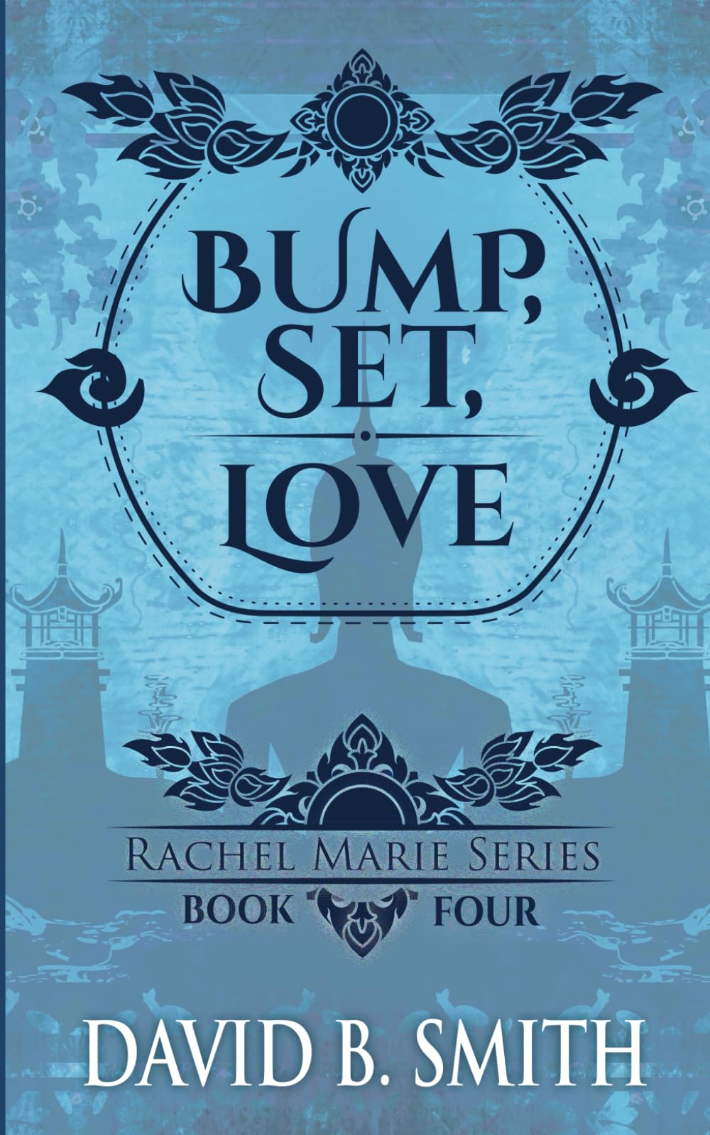 Bump, Set, Love (Rachel Marie Series, Band 4) Contemporary literature