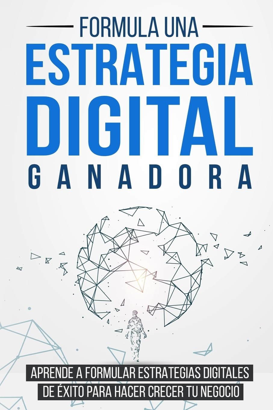 Formula una Estrategia Digital Ganadora: Aprende a formular Estrategias Digitales de Éxito para hacer crecer tu Negocio Business, Finance & Career