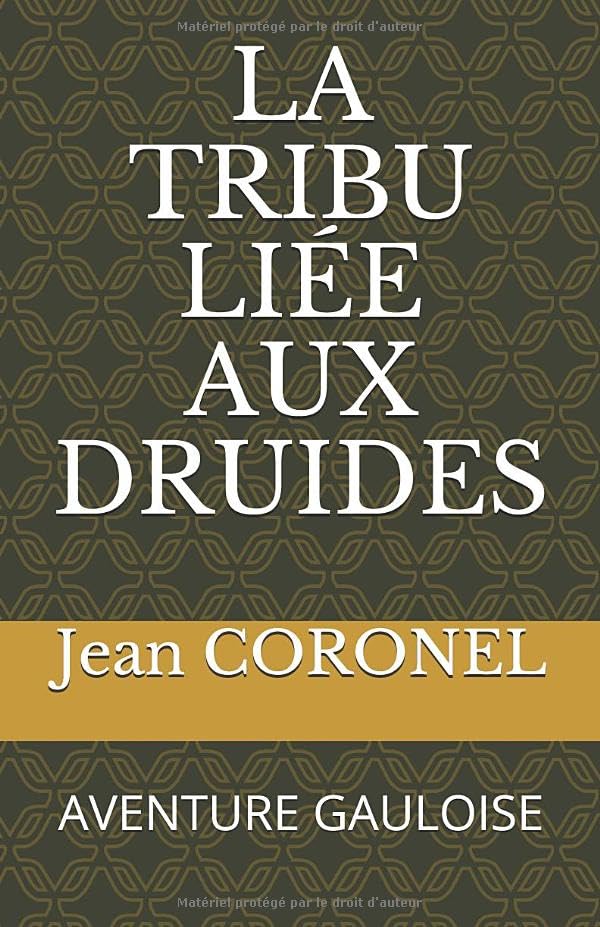 LA TRIBU LIÉE AUX DRUIDES: AVENTURE GAULOISE (LES BRAVES GENS, Band 7) Contemporary literature