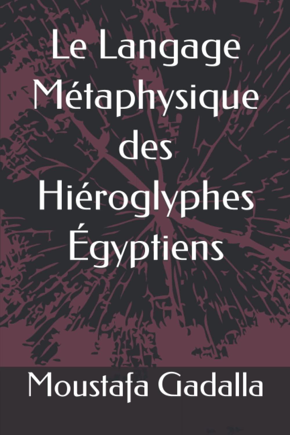 Le Langage Métaphysique des Hiéroglyphes Égyptiens book