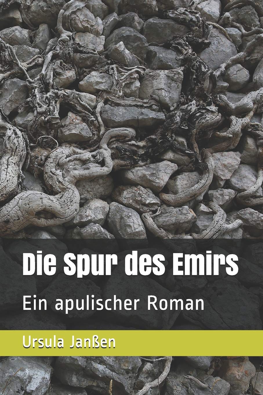 Die Spur des Emirs: Ein apulischer Roman Historical Fiction