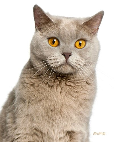 Product Image: Journal: British Shorthair Cat