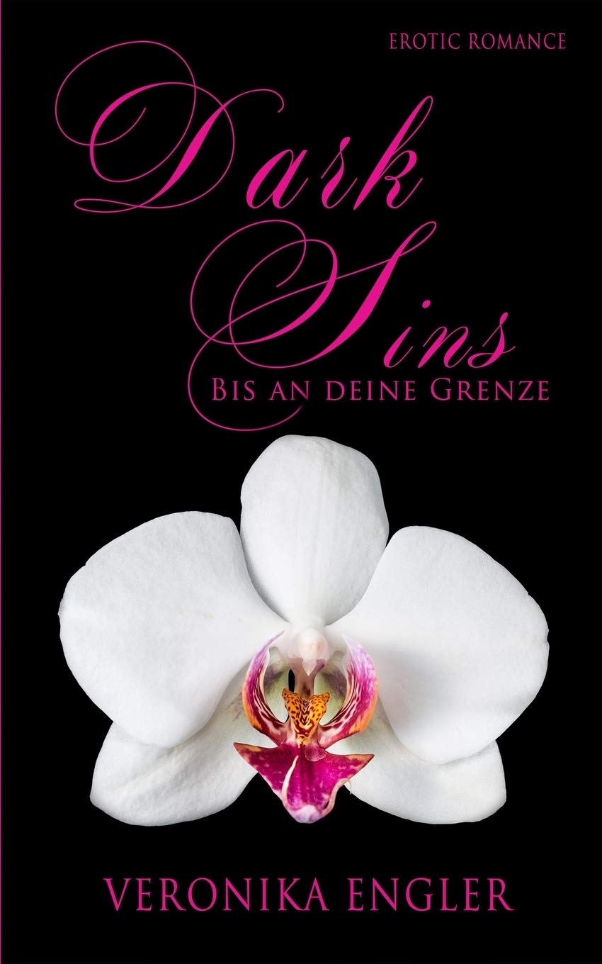 Dark Sins: Bis an deine Grenze (DS, Band 1) Contemporary literature