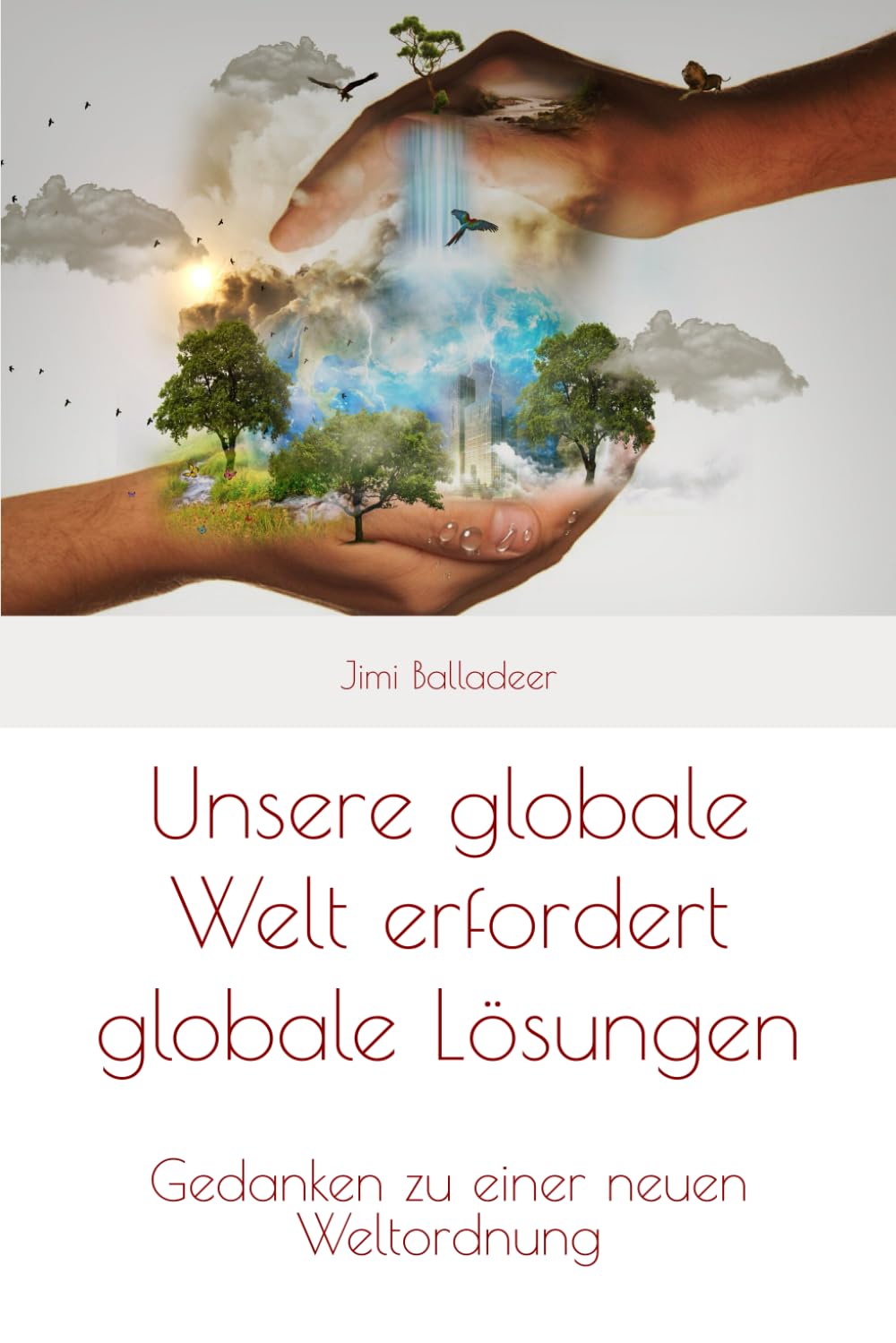Unsere globale Welt erfordert globale Lösungen: Gedanken zu einer neuen Weltordnung Contemporary literature Books
