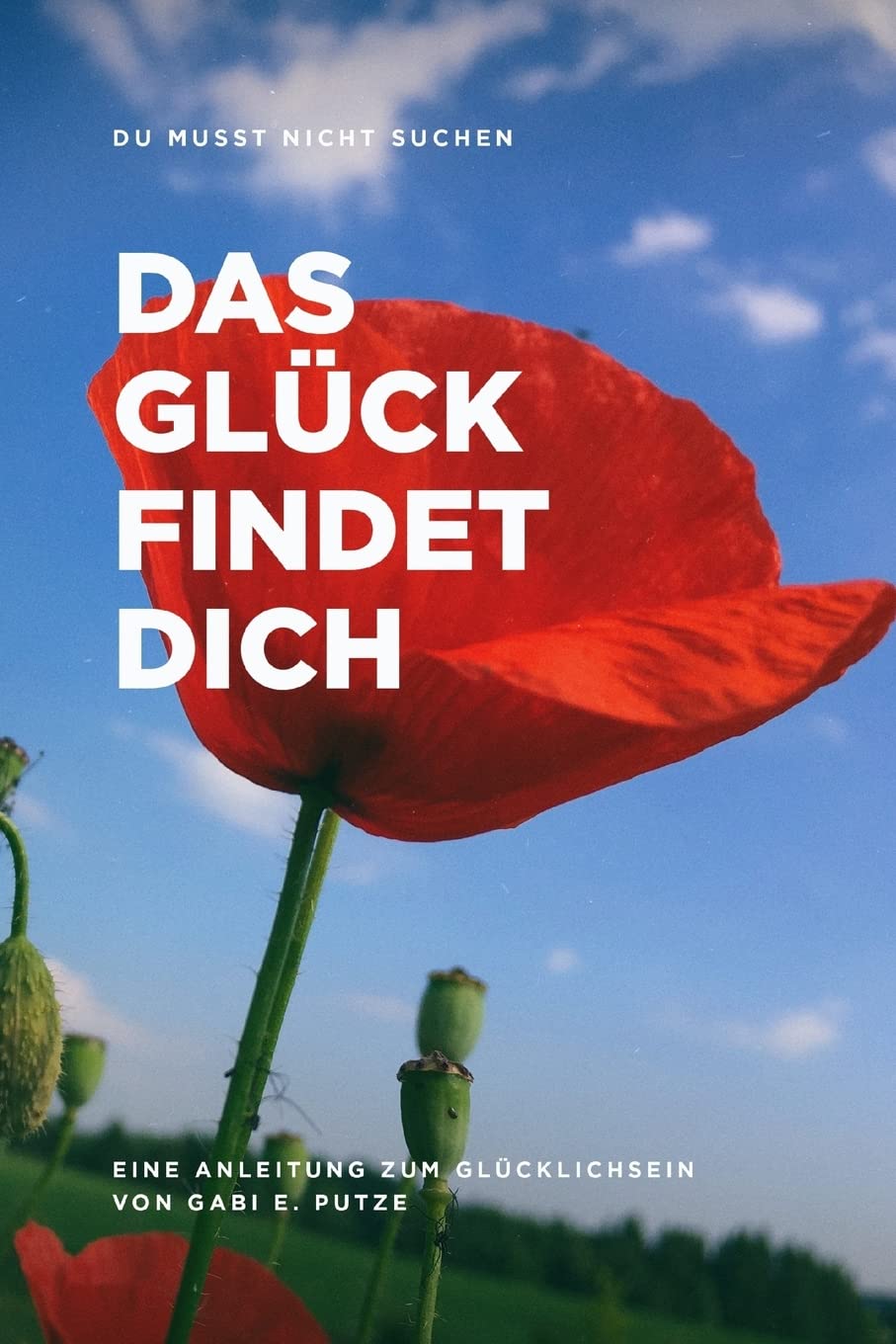 DU MUSST NICHT SUCHEN DAS GLÜCK FINDET DICH: Anleitung zum Glücklichsein Business, Finance & Career