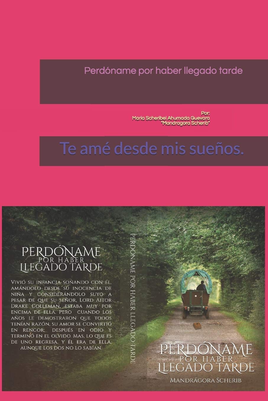 Perdóname por haber llegado tarde: Te amé desde mis sueños. (Serie:Hermanas Bennet y los hilos rojos del amor., Band 1) Books