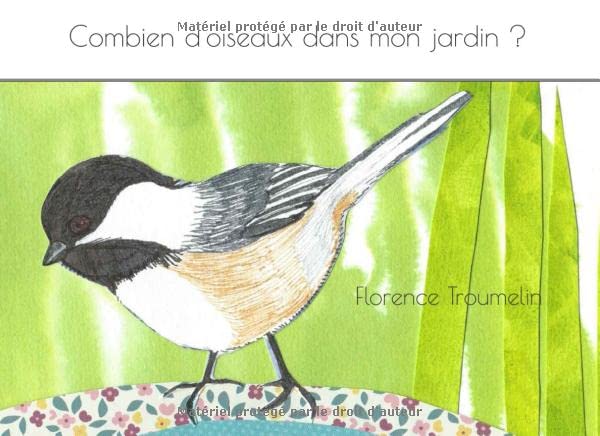 Combien d'oiseaux dans mon jardin ? Non-fiction
