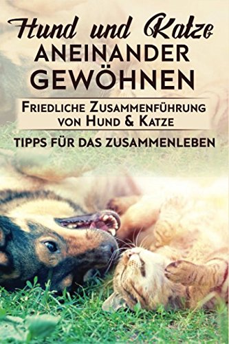 Hund und Katze aneinander gewöhnen : Friedliche Zusammenführung von Hund & Katze: Tipps für das Zusammenleben Pets