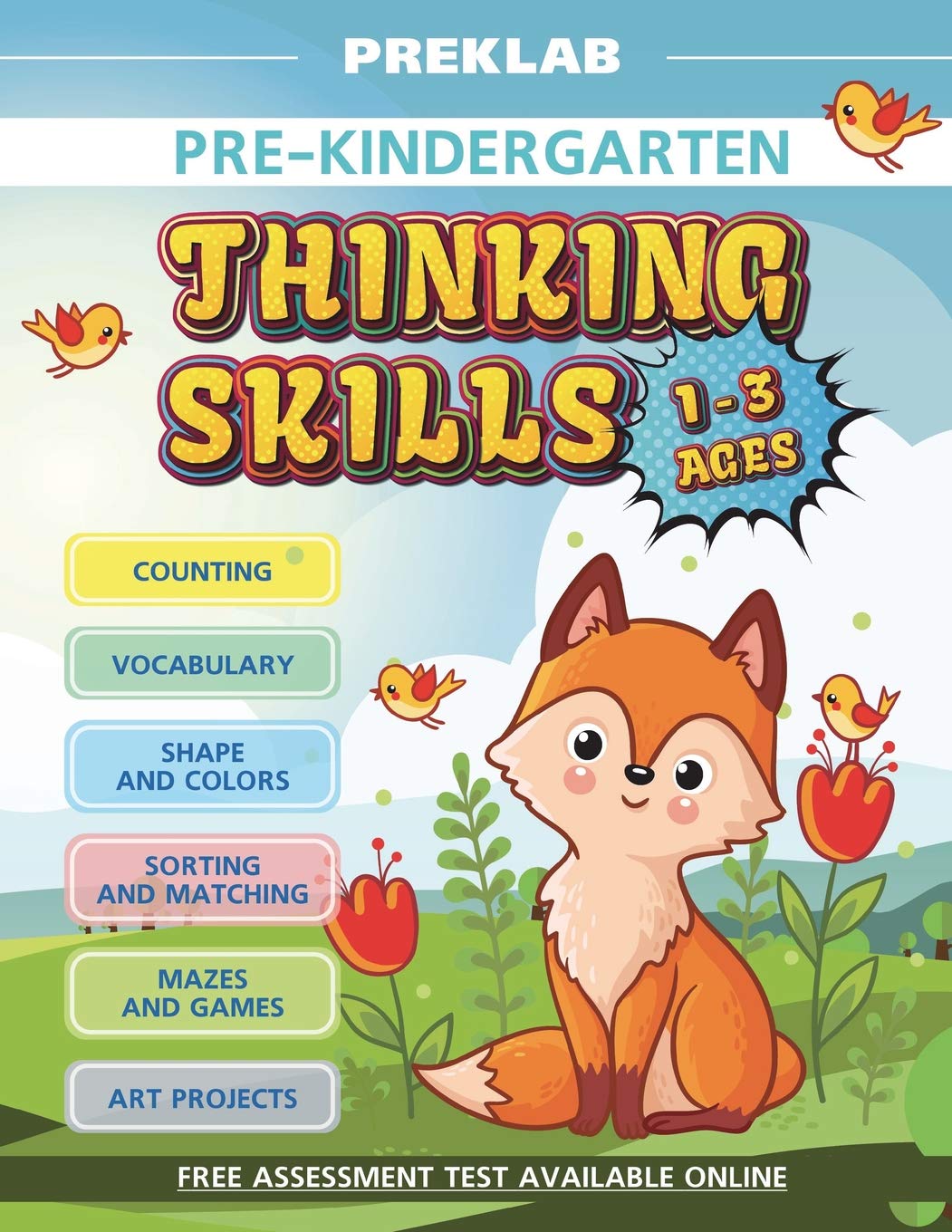 Thinking skills pre-K toddler workbook 1-3 years prek age 1 2 3 Study Guides