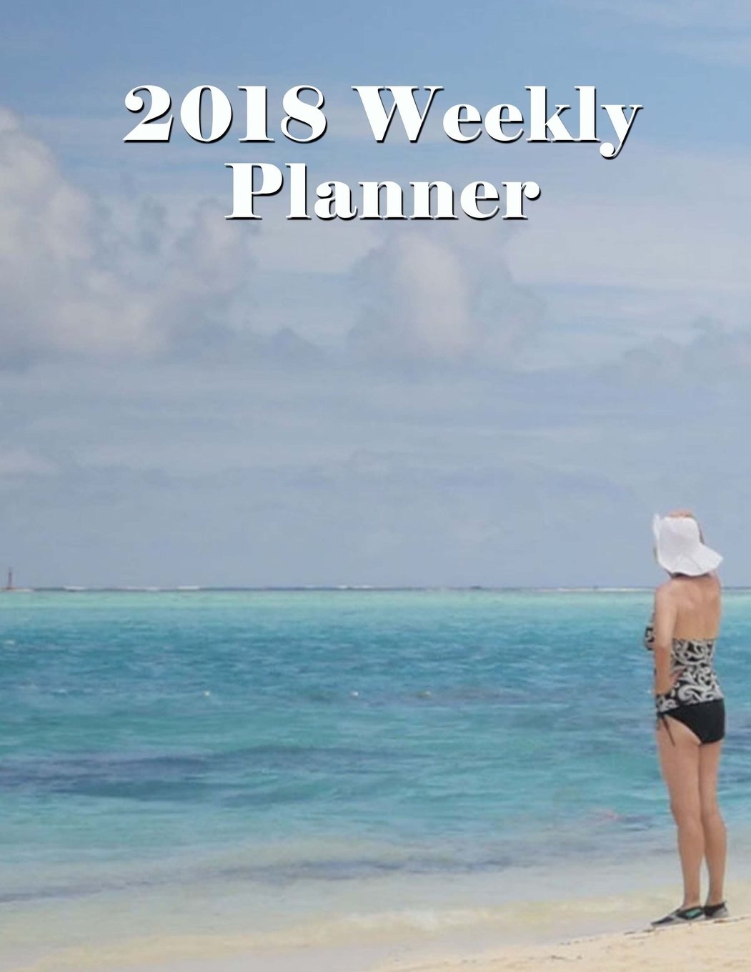 2018 Weekly Planner - 2 Pages Per Week - Goal Organizer - Monthly Weekly Agenda Datebook Diary - January 2018 - December 2018 - 8.5" x 11" - Ocean Reflections Business, Finance & Career