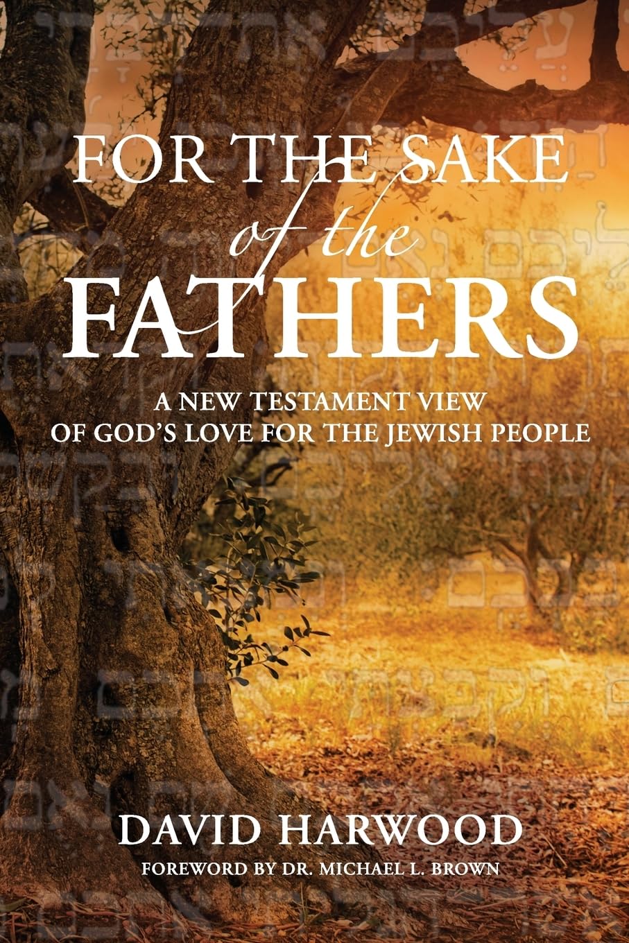 For the Sake of the Fathers: A New Testament View of God's Love for the Jewish People Religion & Esotericism