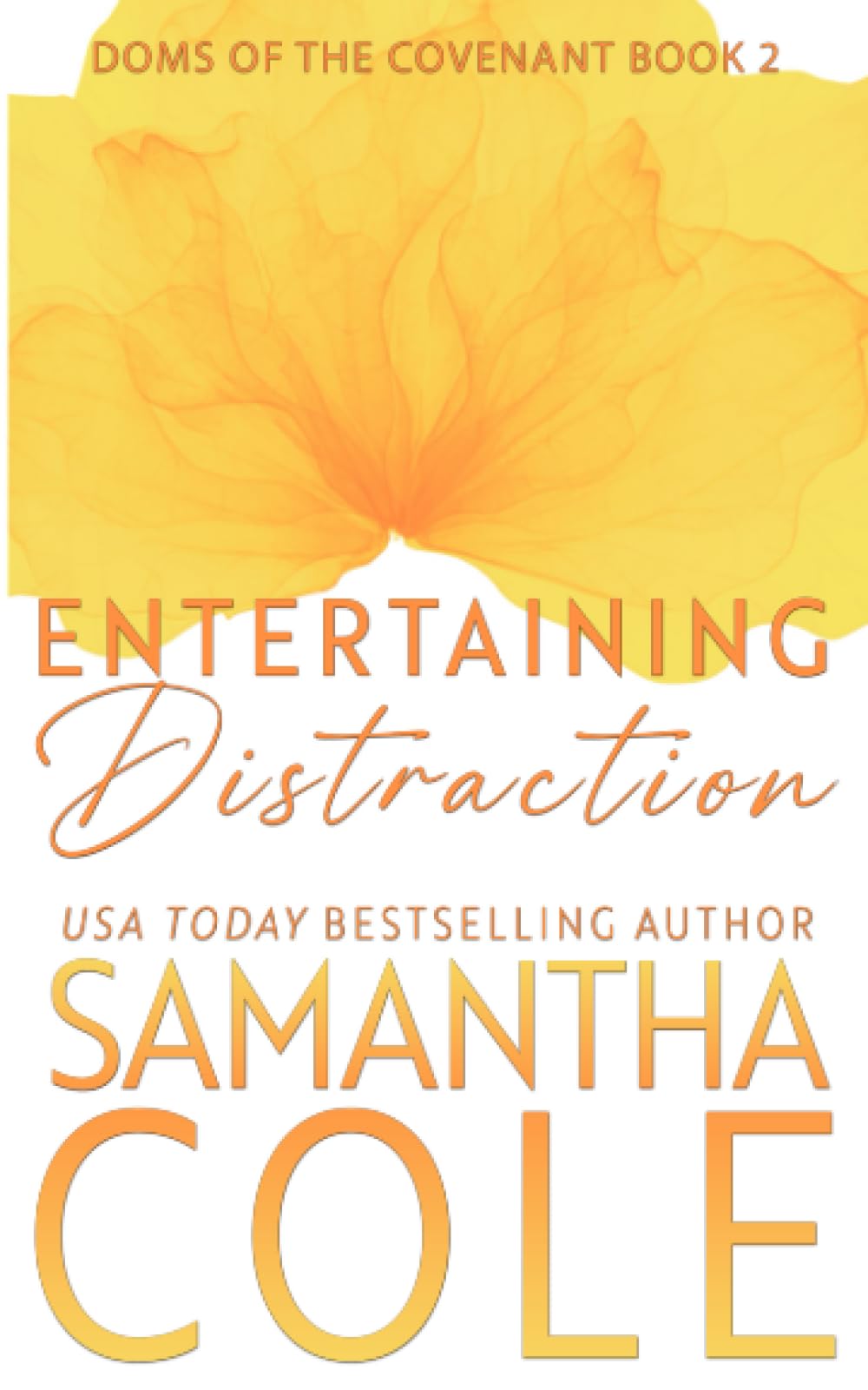 Entertaining Distraction: Doms of The Covenant Book Two (Doms of The Covenant (Discreet Cover Editions), Band 2) Romantic Thrillers