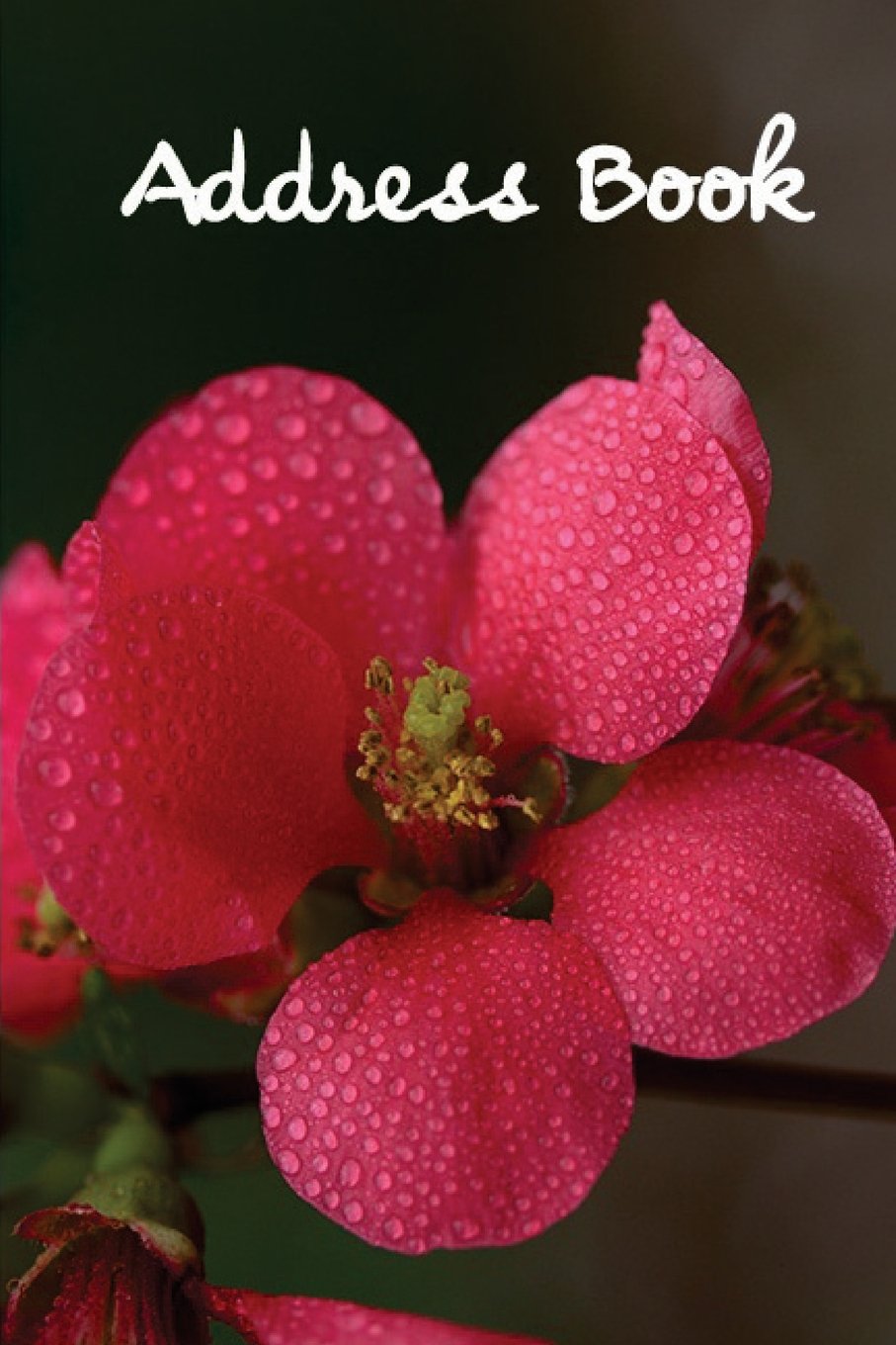Address Book.: (Flower Edition Vol. C61) Glossy And Soft Cover, Large Print, Font, 6" x 9" For Contacts, Addresses, Phone Numbers, Emails, Birthday And More. Books