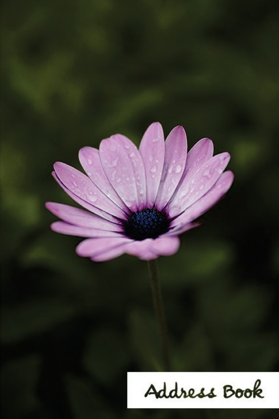 Address Book.: (Flower Edition Vol. C69) Glossy And Soft Cover, Large Print, Font, 6" x 9" For Contacts, Addresses, Phone Numbers, Emails, Birthday And More. Books