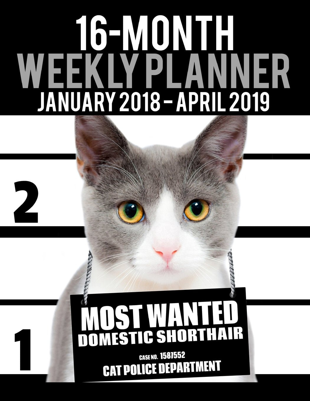 2018-2019 Weekly Planner - Most Wanted Domestic Shorthair: Daily Diary Monthly Yearly Calendar Large 8.5" x 11" Schedule Journal Organizer Notebook ... Book Size Cat Planners 2018-2019, Band 37) Books