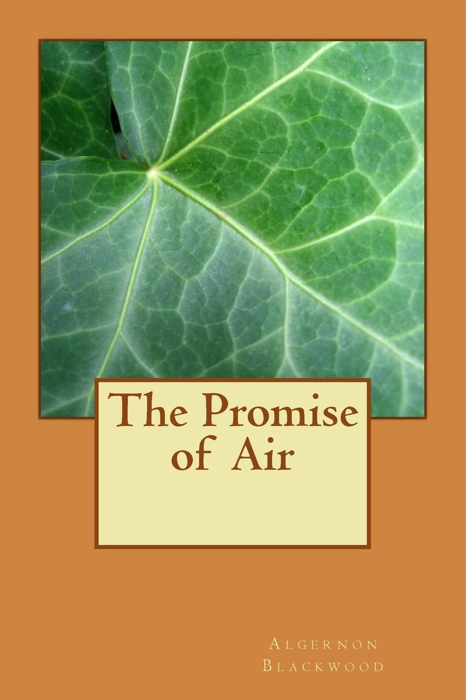 The Promise of Air Action & Adventure