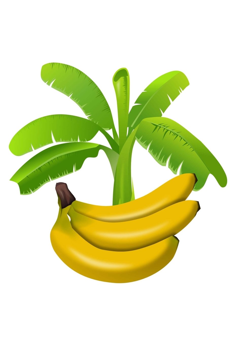 Bananas: 150 Lined Journal Pages / Diary / Notebook Featuring Bananas Fruit and Palm Tree on the Cover Books