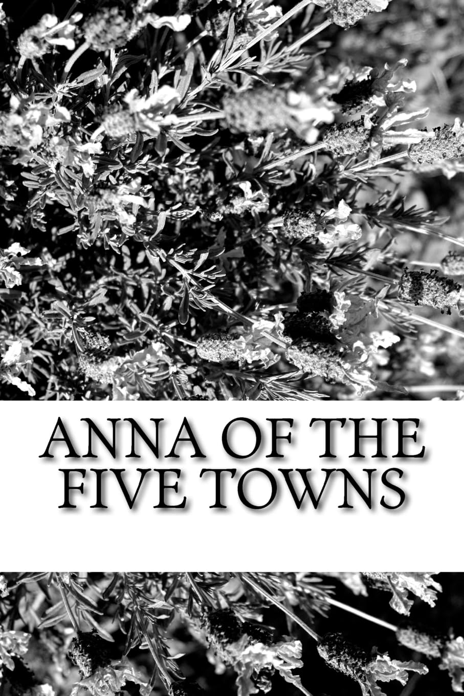 Anna of the Five Towns book