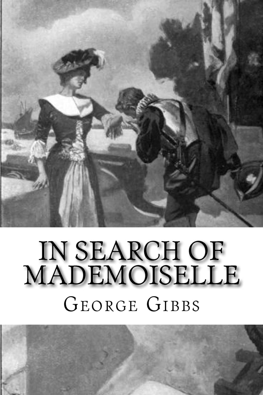 In Search of Mademoiselle Historical Fiction