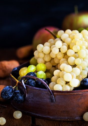 Fresh Ripe Grapes Notebook -- Creative Journal: 7x10, Cream Paper, 5mm Dot Grid, 184 Pages Business, Finance & Career