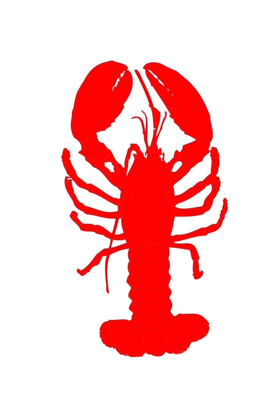 Lobster: 150 Lined Journal Pages / Diary / Notebook Featuring an Orange Illustrated Lobster Image on the Cover Books