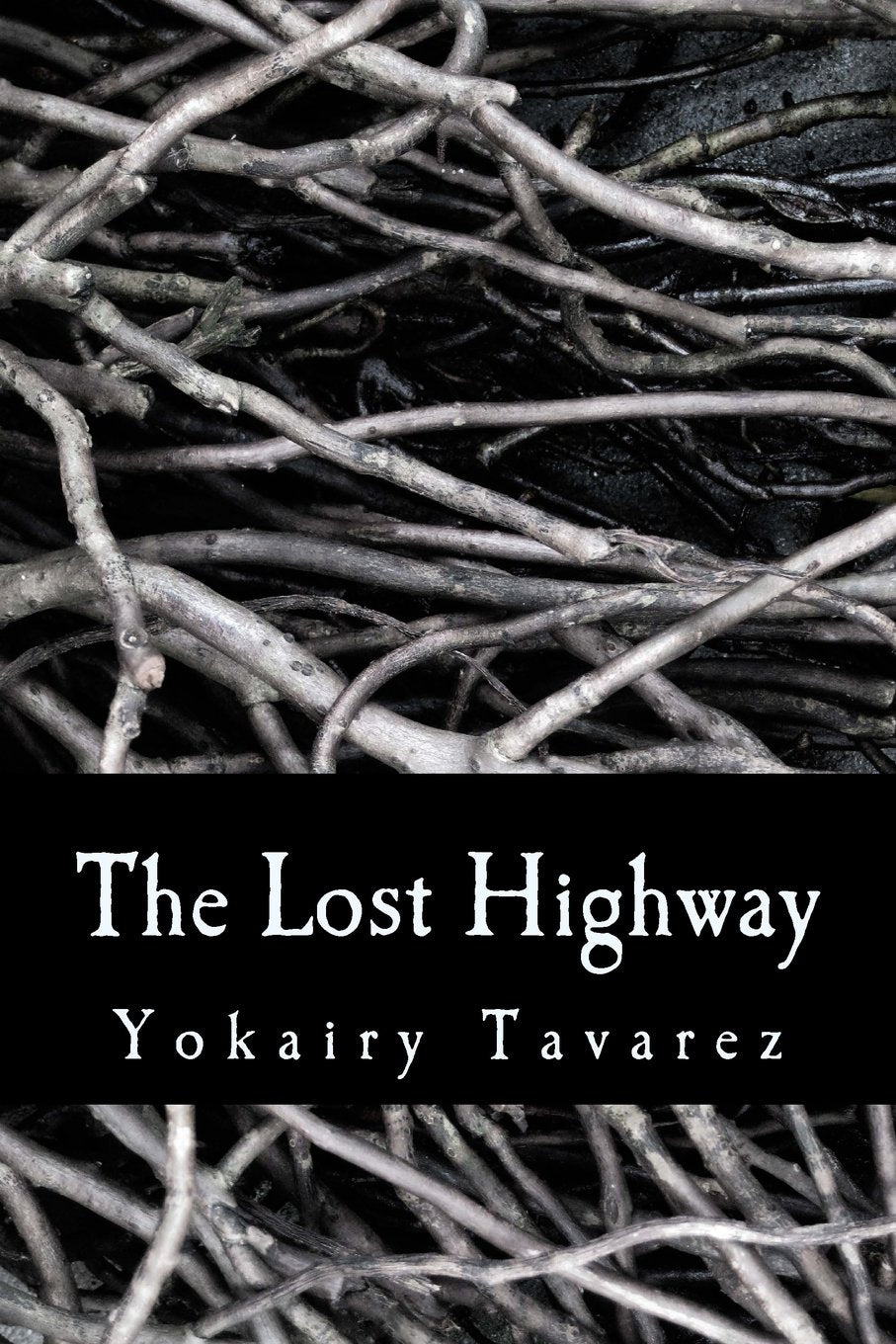 Product Image: The Lost Highway