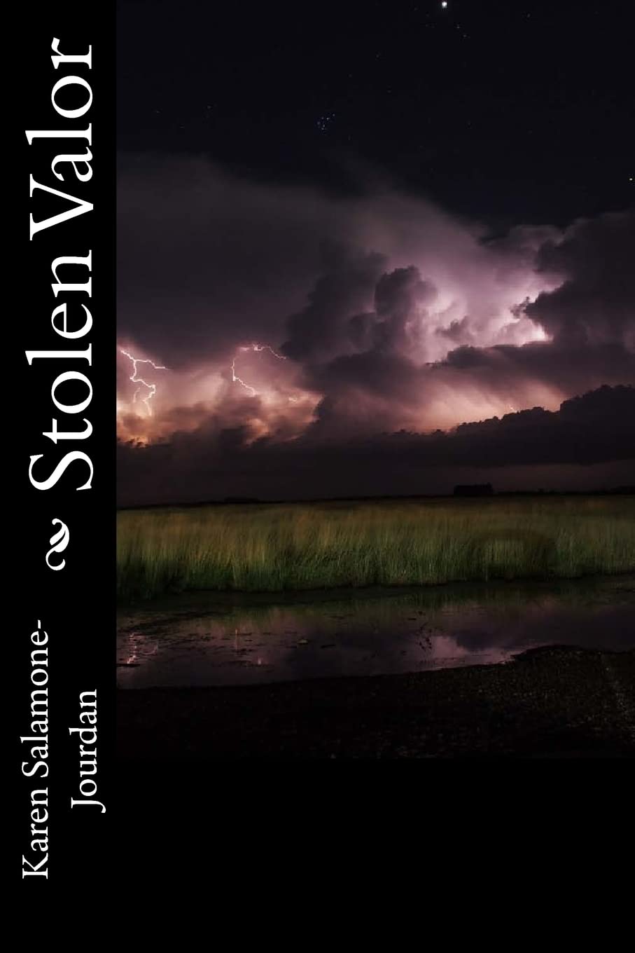 Stolen Valor: From World War II to Now. Politics & Society