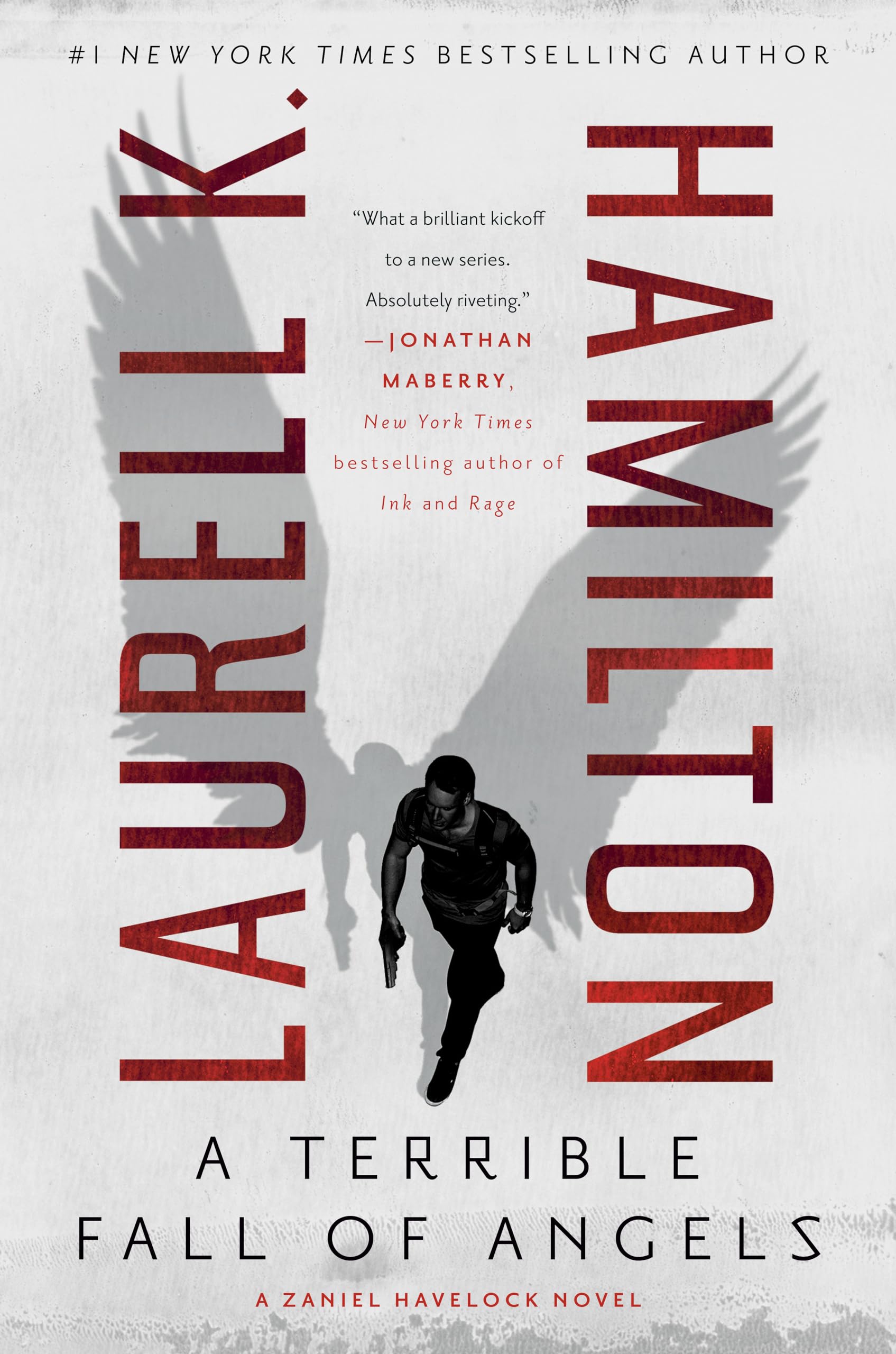 A Terrible Fall of Angels (A Zaniel Havelock Novel, Band 1) Contemporary literature