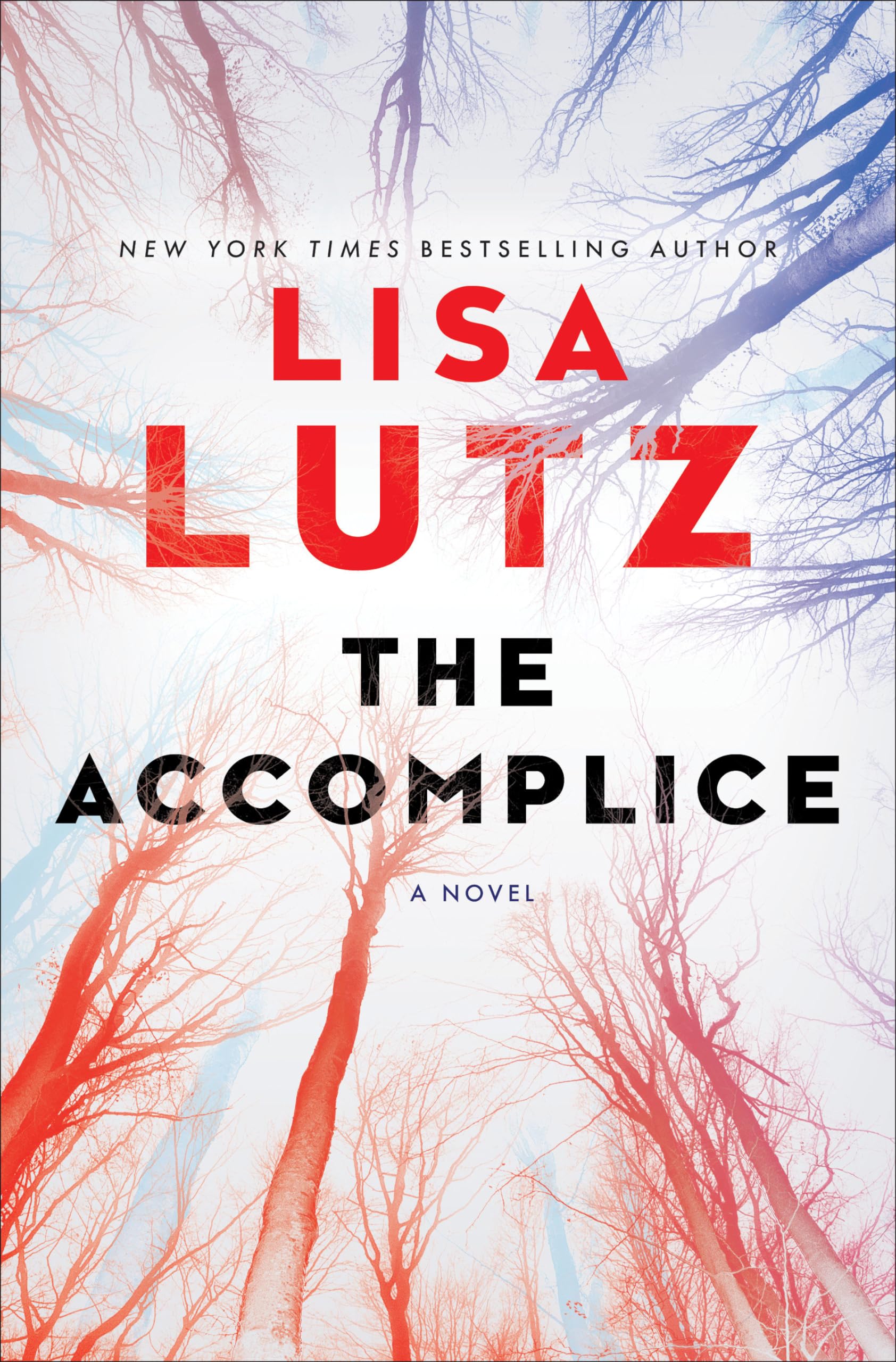 The Accomplice Contemporary literature Books