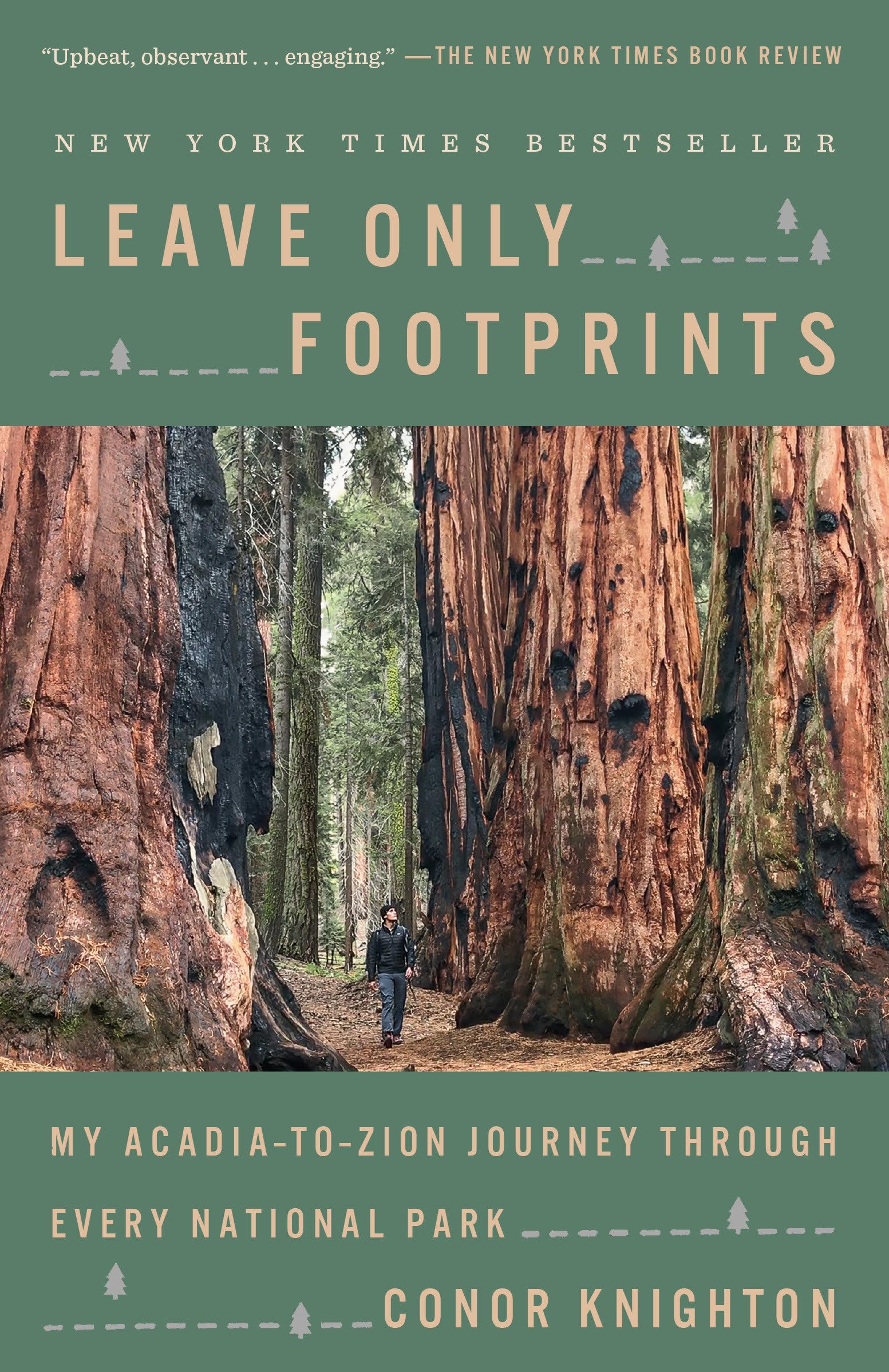 Leave Only Footprints: My Acadia-to-Zion Journey Through Every National Park Art & Literature