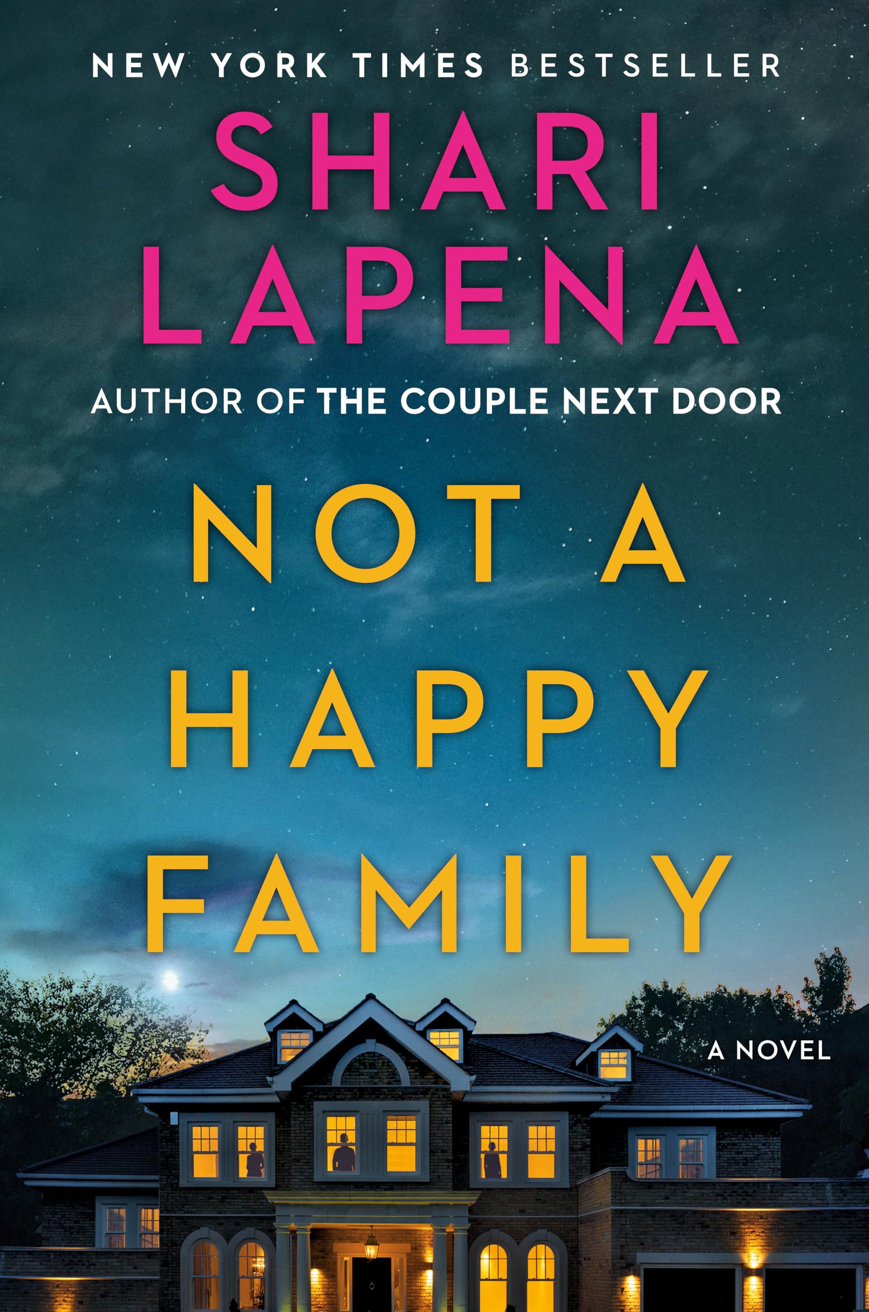 Not a Happy Family: A Novel Contemporary literature