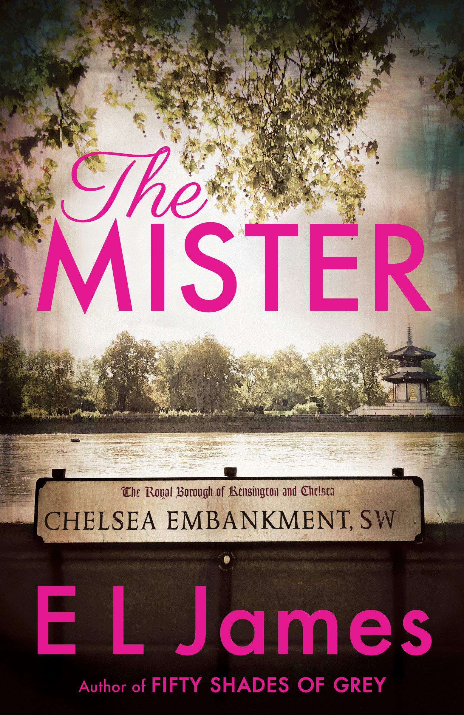 The Mister Contemporary literature Books