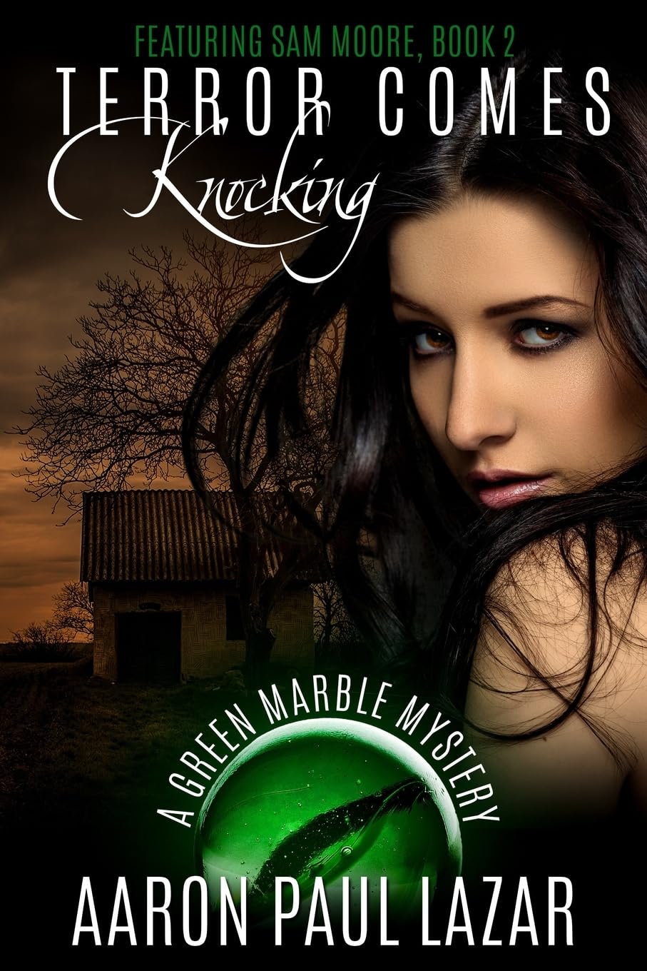 Terror Comes Knocking (Green Marble Mysteries, Band 2) Contemporary literature