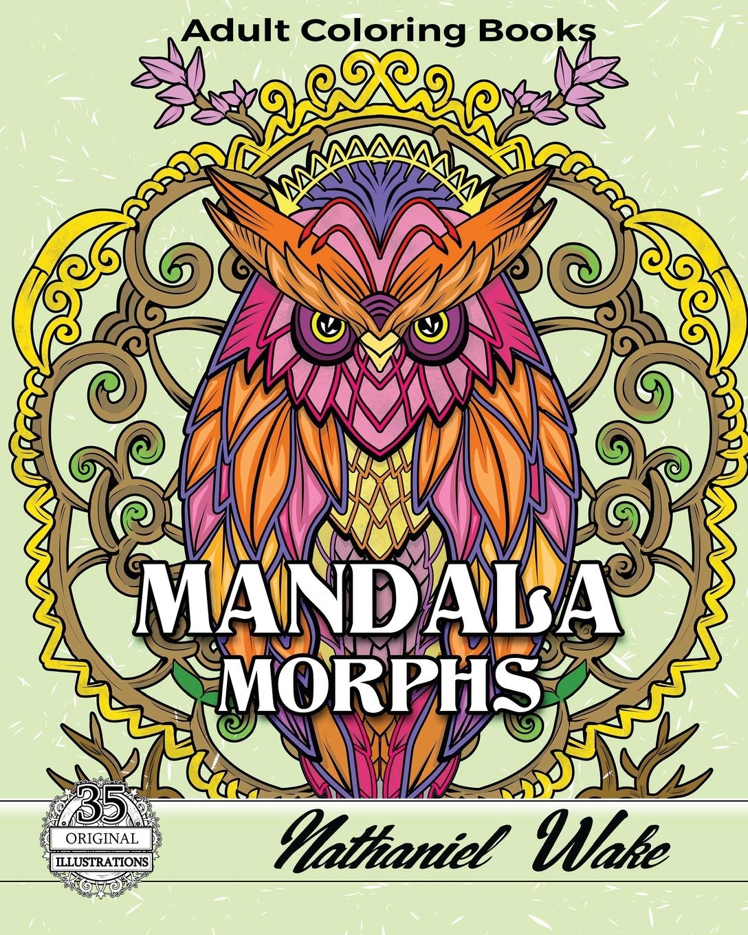 Mandala Morphs Adult Coloring Book: 35 Wonderful Infused Mandala Designs book