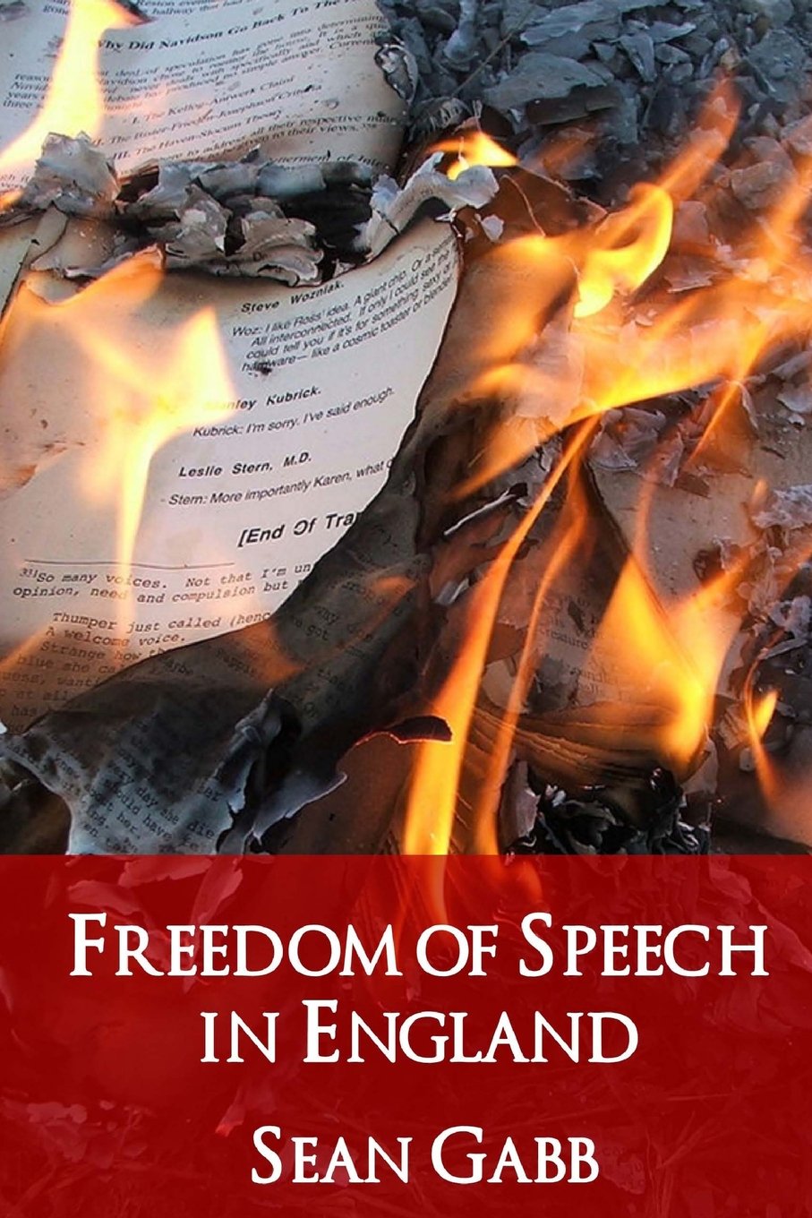 Freedom of Speech in England: Its Present State and Likely Prospects (Libertarian Analysis, Band 4) Philosophy