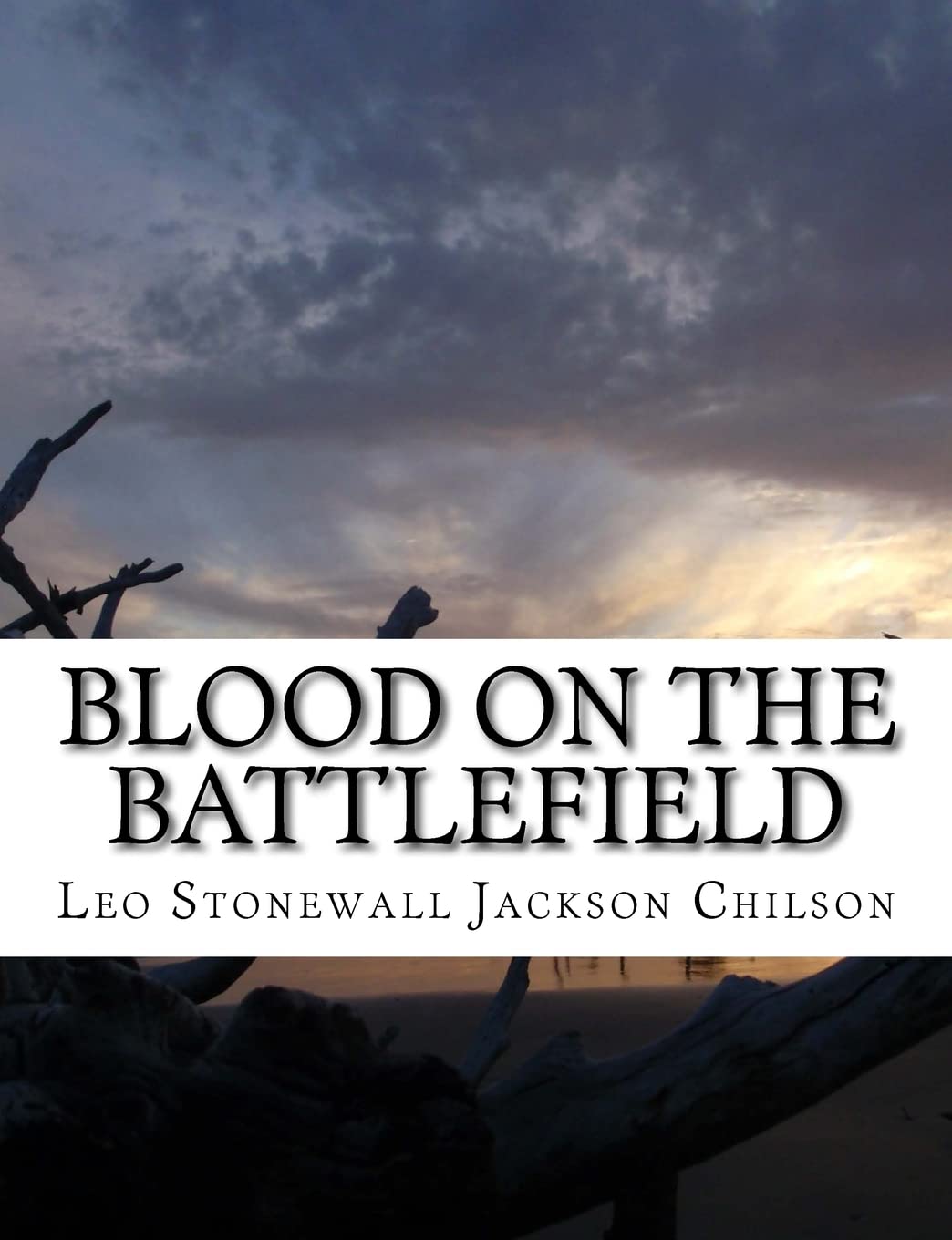 Blood on the Battlefield: Large Print (The Road to Destiny) Politics & History