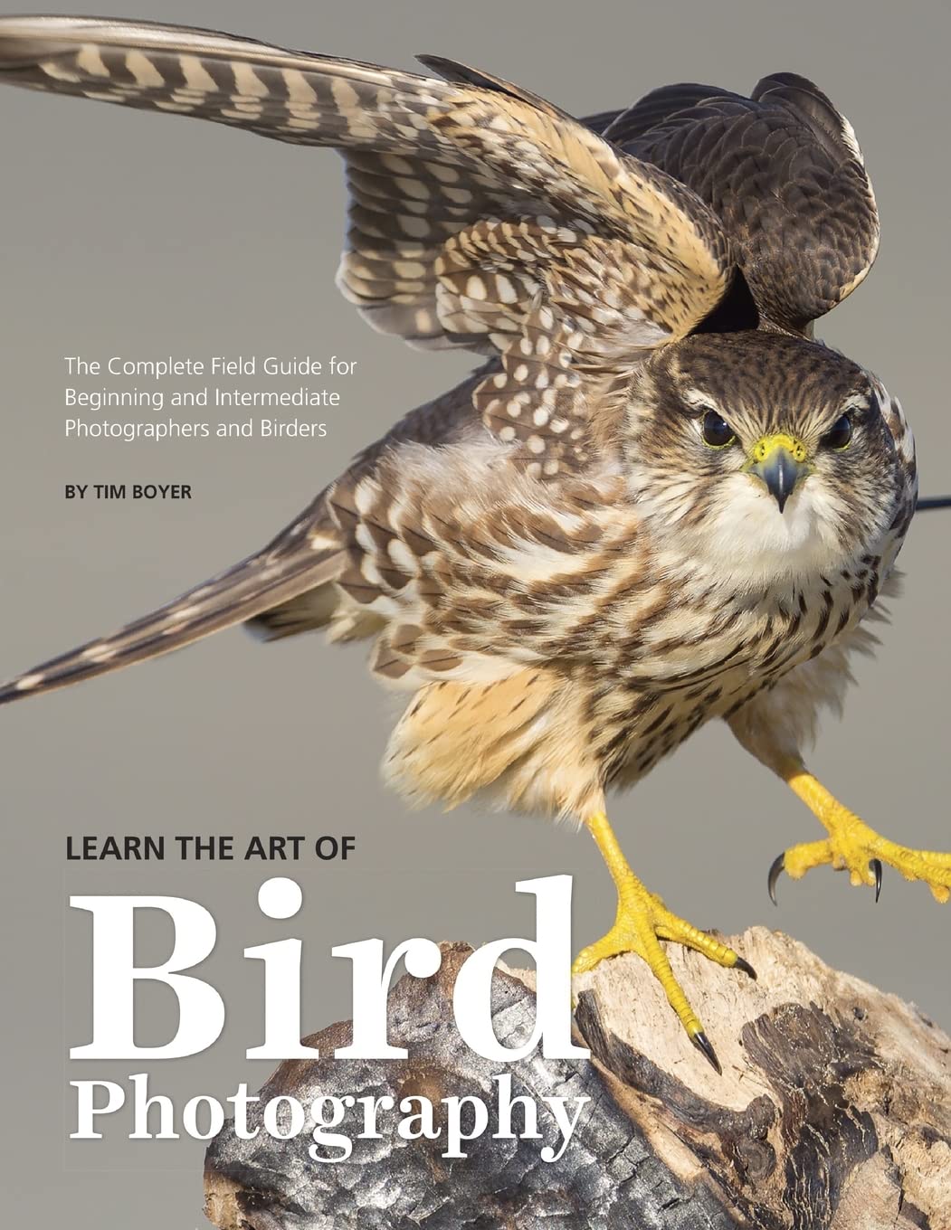 Learn the Art of Bird Photography: The Complete Field Guide for Beginning and Intermediate Photographers and Birders Photography