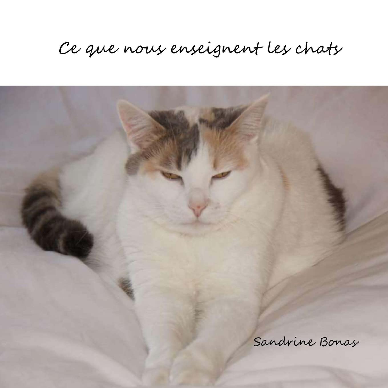 Product Image: Ce que nous enseignent les chats