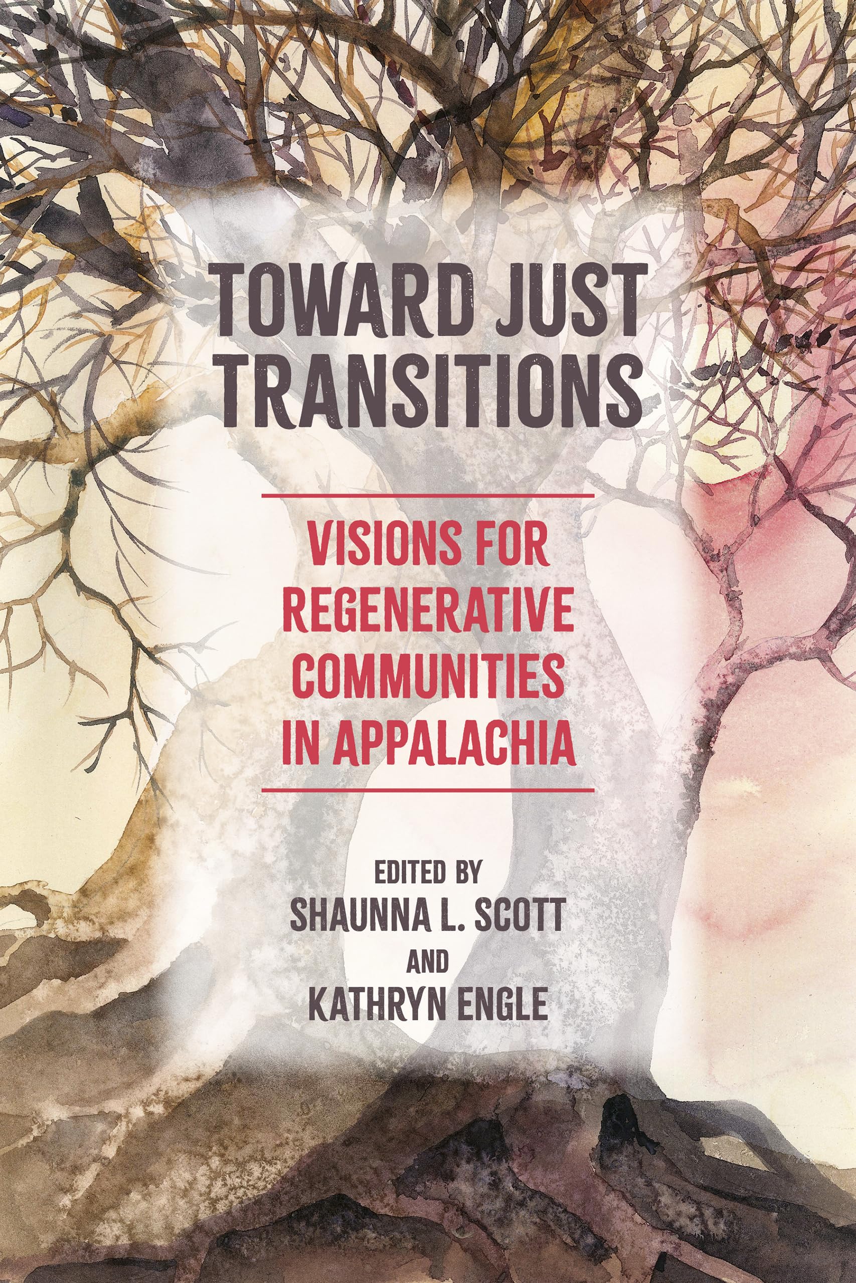 Toward Just Transitions: Visions for Regenerative Communities in Appalachia (Place Matters: New Directions in Appalachian Studies) Social Sciences
