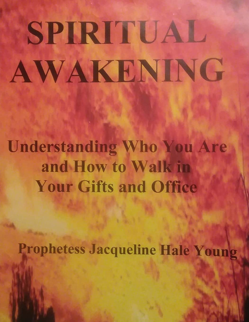 Spiritual Awakening: Understanding Who You Are and How to Walk in Your Gifts and Office Religion & Esotericism