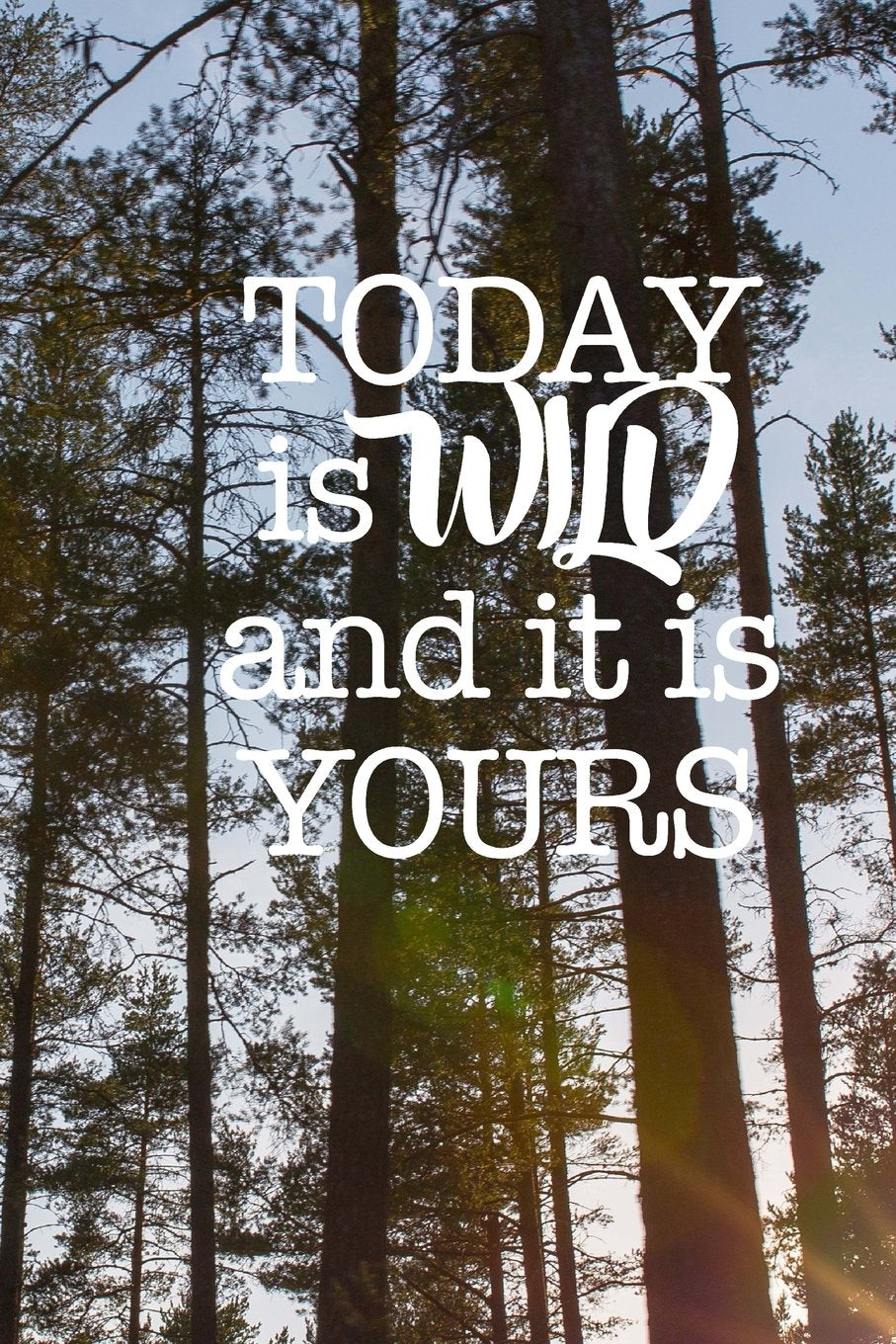 Today is Wild and It Is Yours: 150 page lined 6 x 9 notebook/diary/journal Mathematics