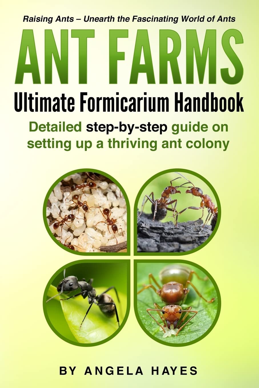 Ant Farms - The Ultimate Formicarium Handbook: Detailed Step-by-Step Guide to Setting Up a Thriving Ant Colony book