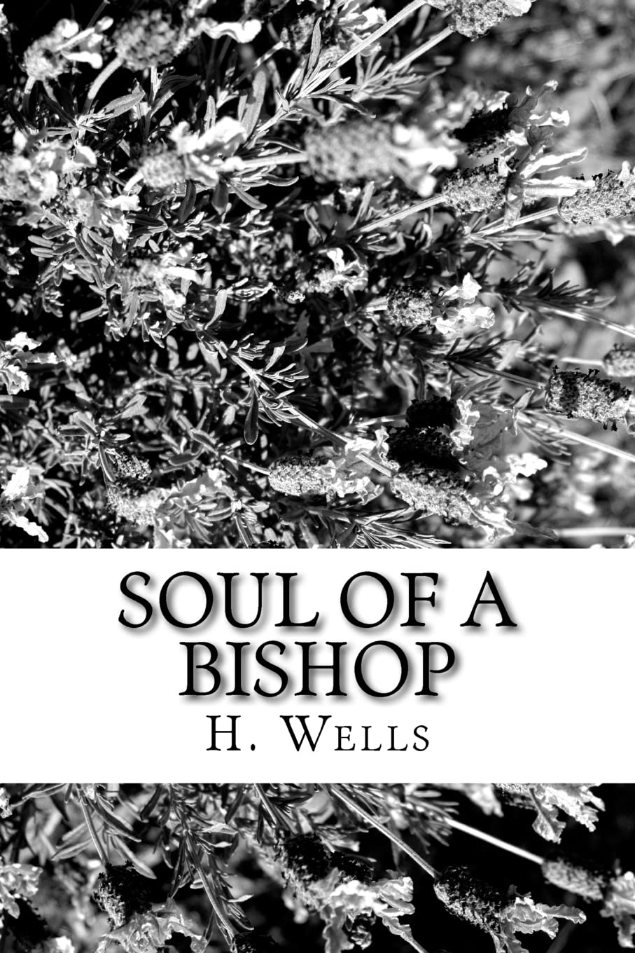 Soul of a Bishop Contemporary literature