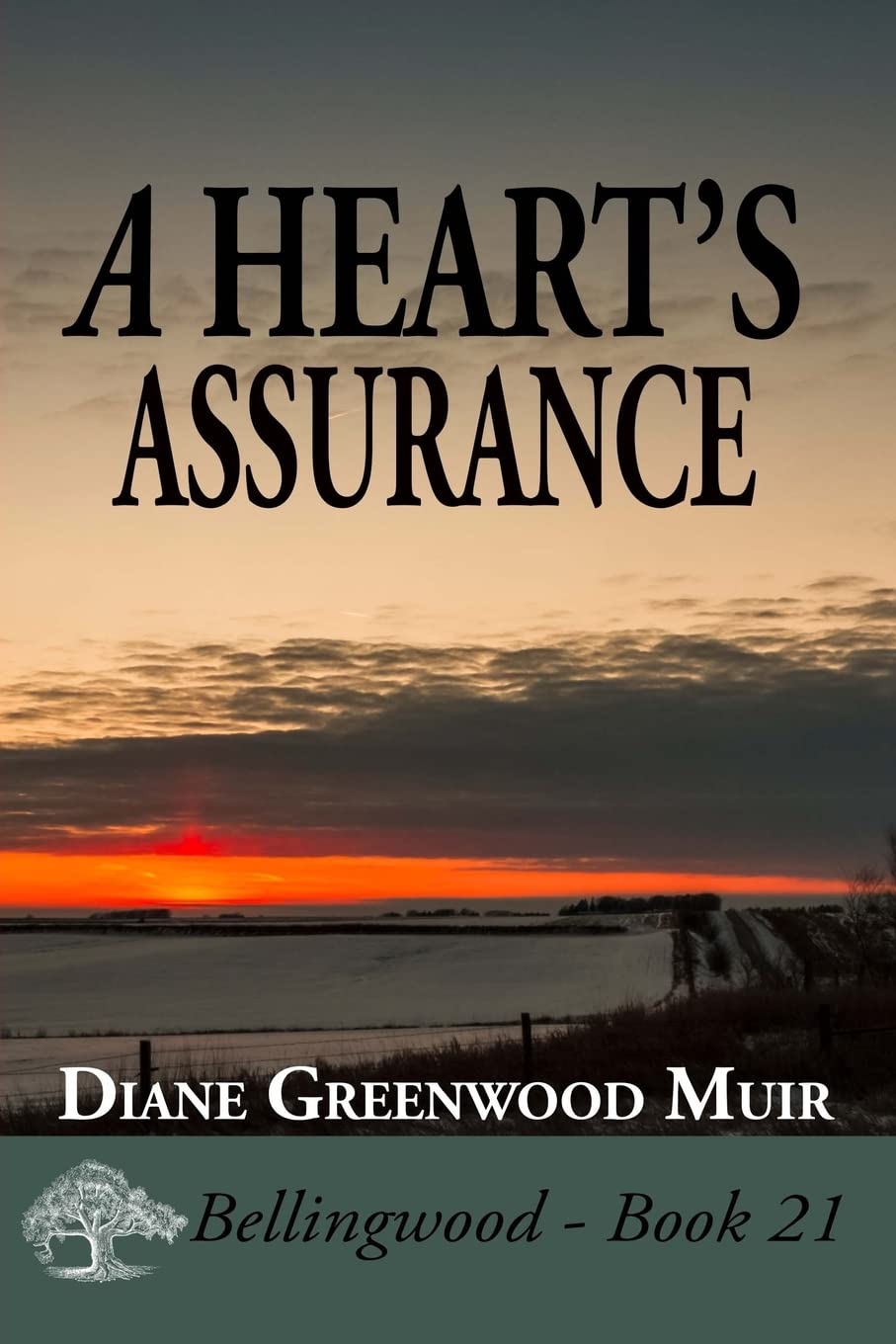 A Heart's Assurance (Bellingwood, Band 21) Contemporary literature