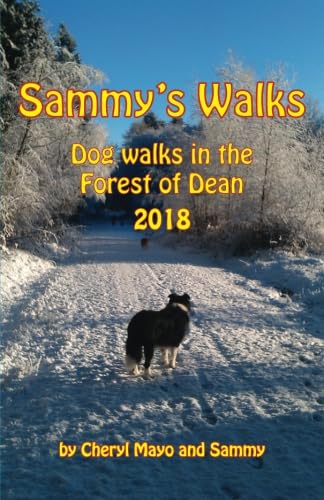 Sammy's Walks 2018: Dog walks in the Forest of Dean Travel