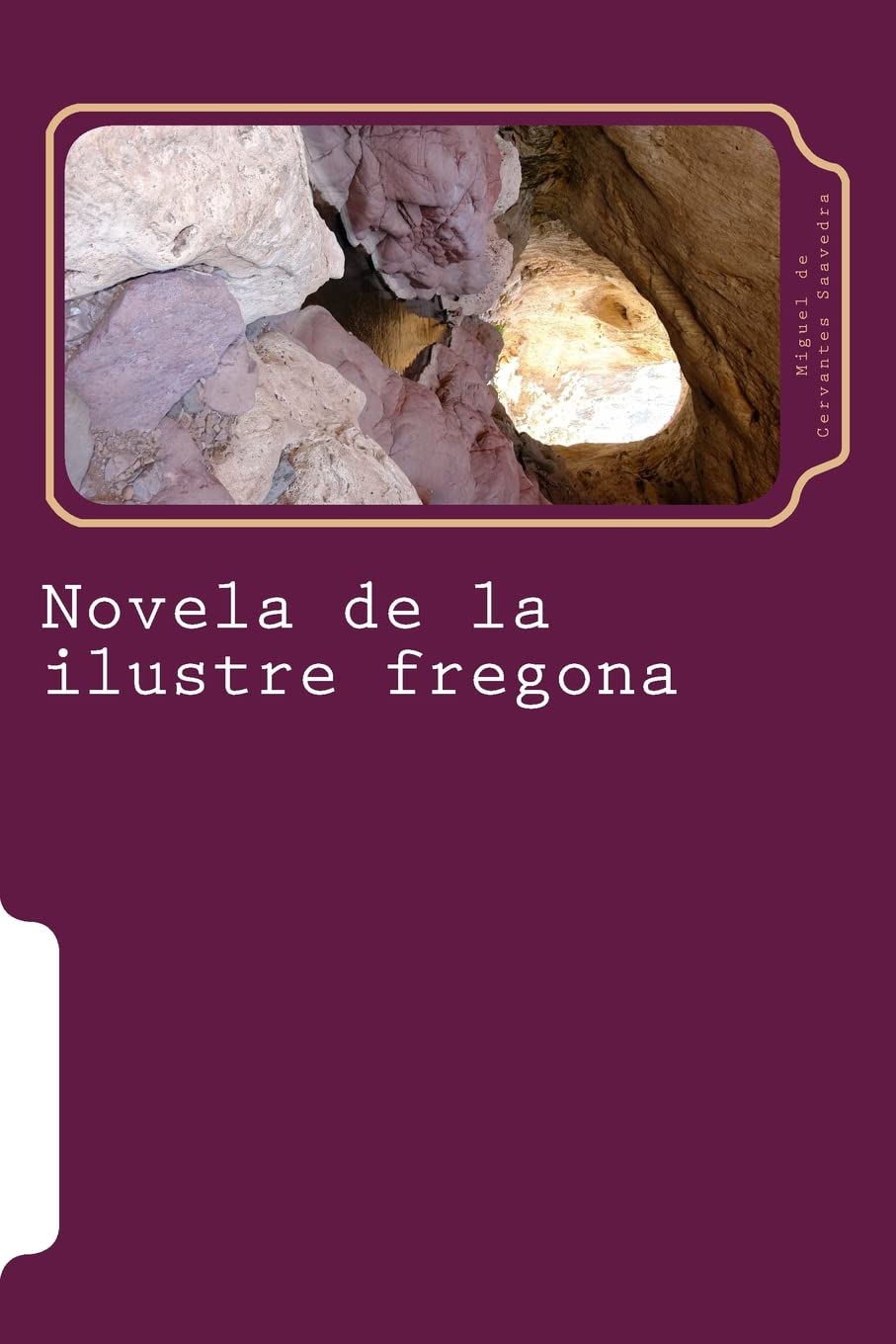 Novela de la ilustre fregona book