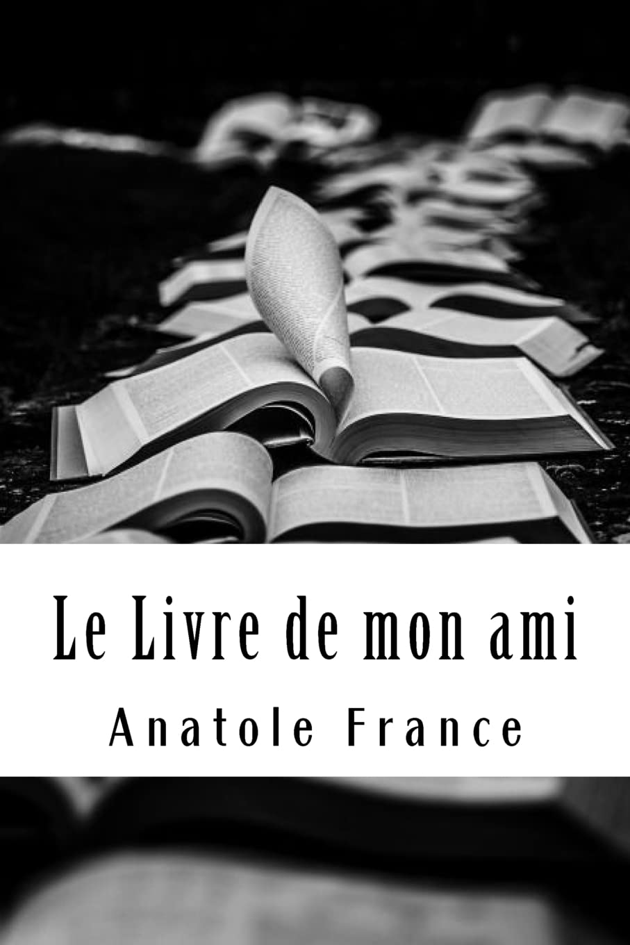 Le Livre de mon ami book