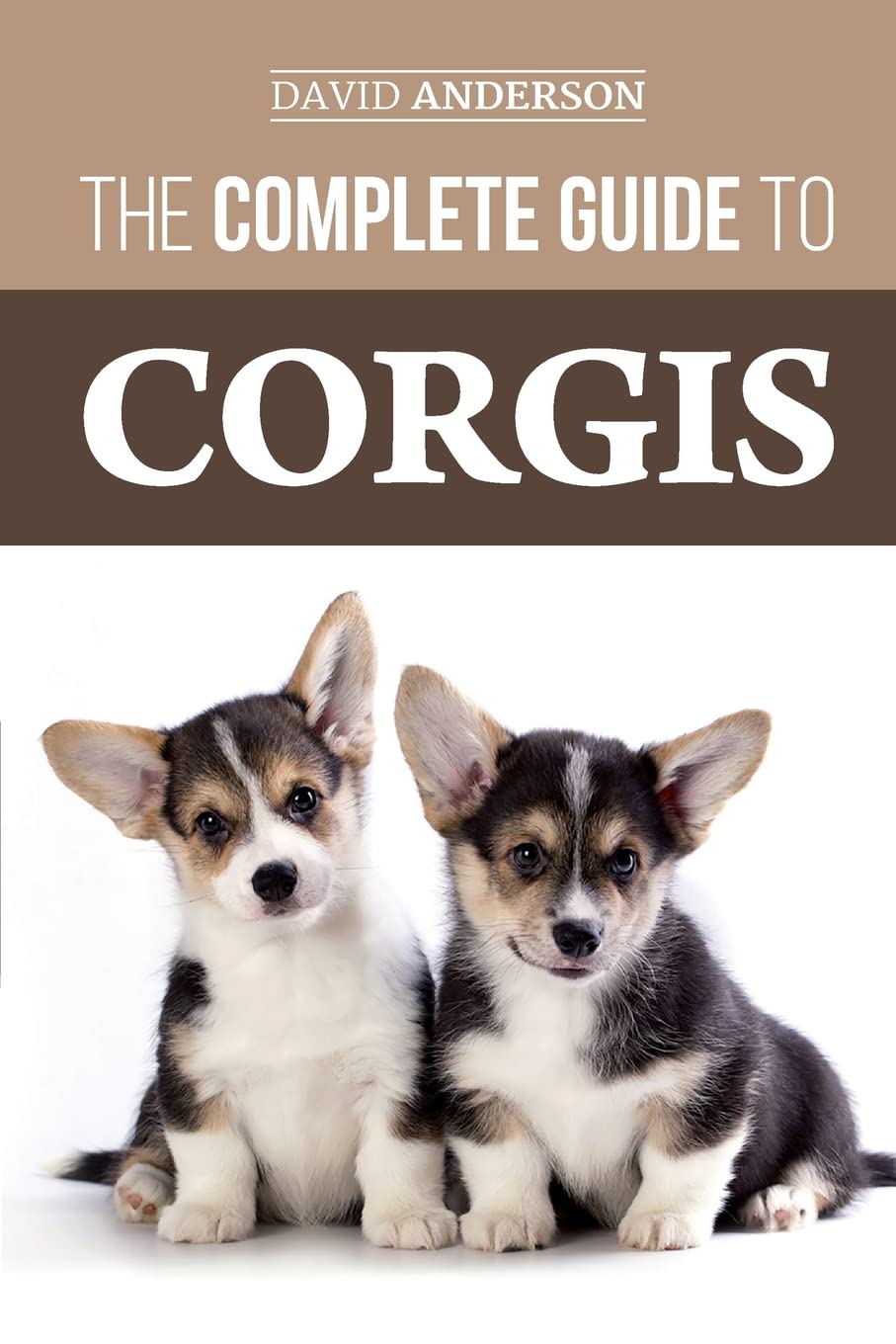 The Complete Guide to Corgis: Everything to know about both the Pembroke Welsh and Cardigan Welsh Corgi dog breeds Pets